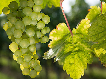 客戶案例標題九